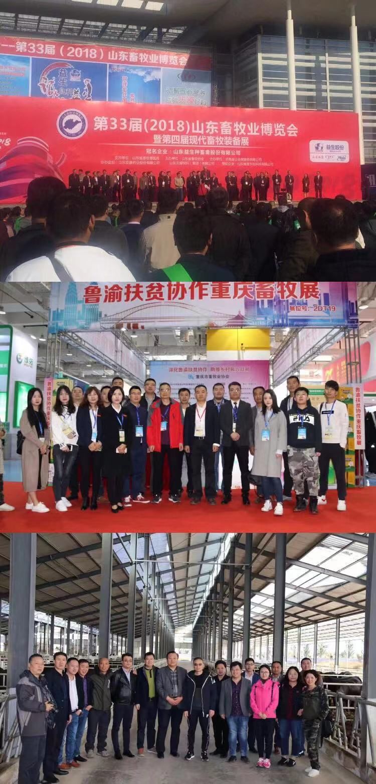 重庆优宝参加鲁渝扶贫协作现代畜牧业交流活动