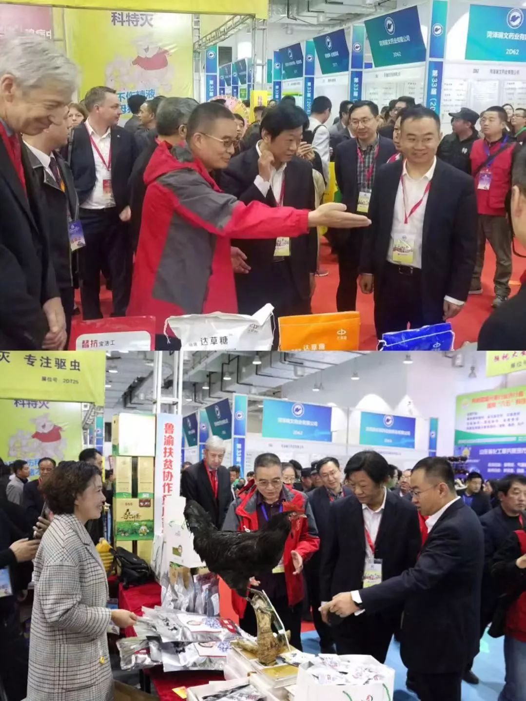 重庆优宝亮相山东畜牧业博览会