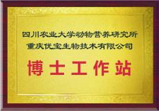 博士工作站